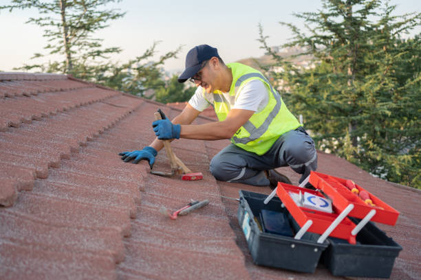 Roof Gutter Cleaning in Wellington, UT